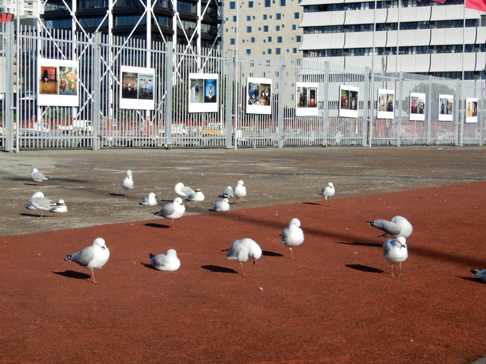 Queens Wharf Fence